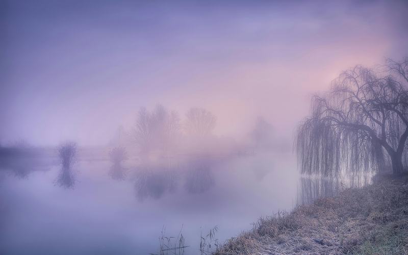 【金融洞察】建好体育赛事评估体系，把握“赛事+”引擎，助益区域经济发展